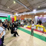 Startups se apresentaram na Gramado Summit