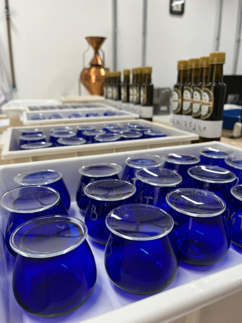 Amostras foram preparadas para painel sensorial do azeite de oliva