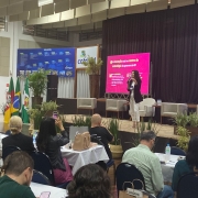 Secretária Simone participa de Fórum de Inovação em Panambi